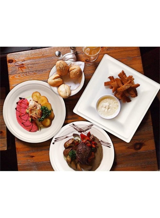 SNH Packing طبق بيولوجي قابل للتحلل من باجاس SNH Packing صديق للبيئة 10 بوصة للاستخدام مرة واحدة - Image 3